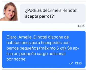 chatbot responde preguntas diferenets